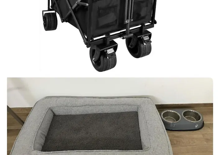 The - Oasis - * Fehmarn